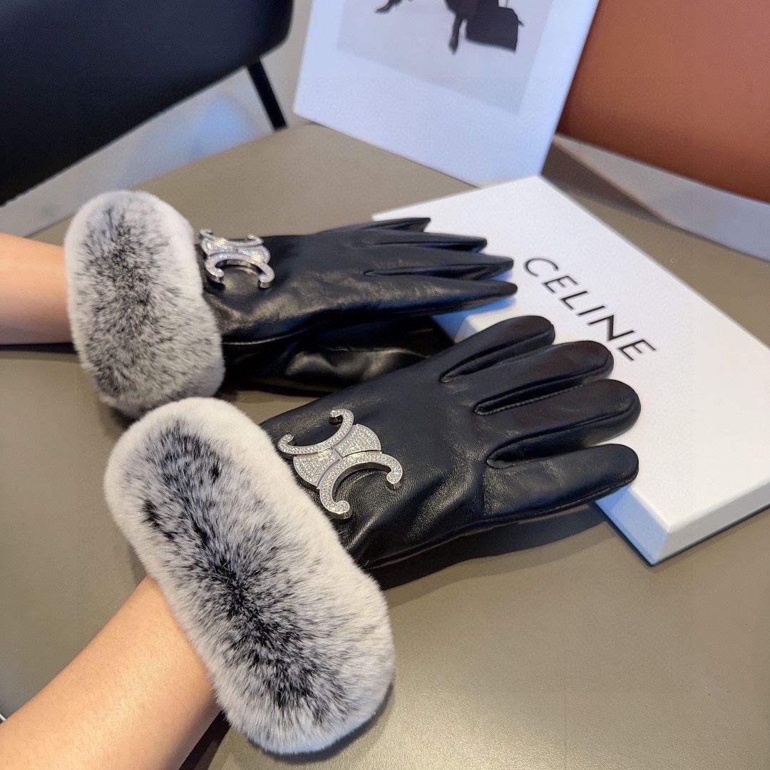 Celine Gloves