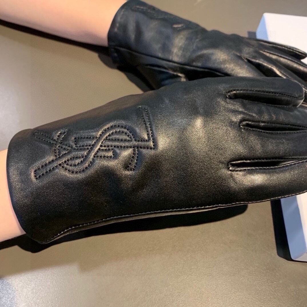 YSL Gloves