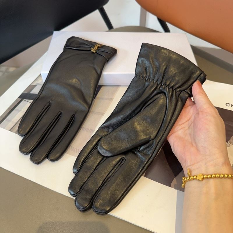 YSL Gloves