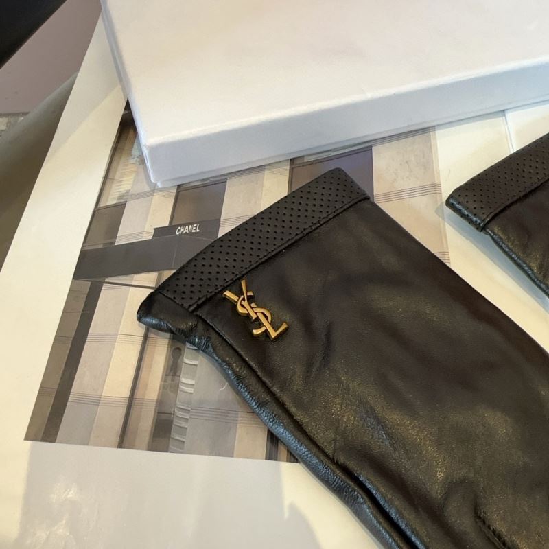 YSL Gloves