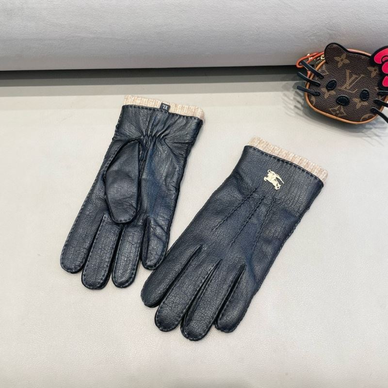 Burberry Gloves