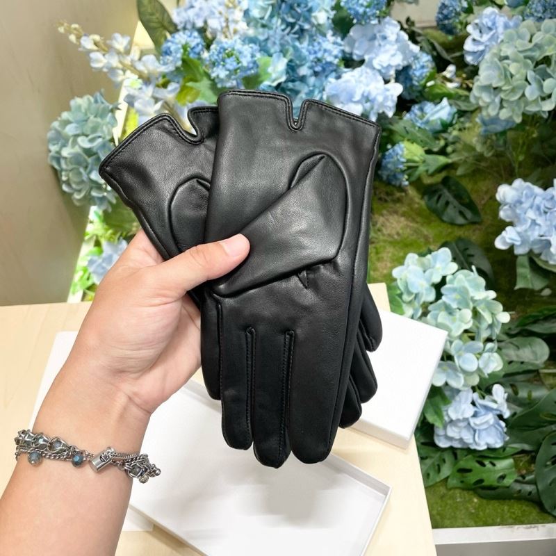 Celine Gloves