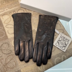 Loewe Gloves