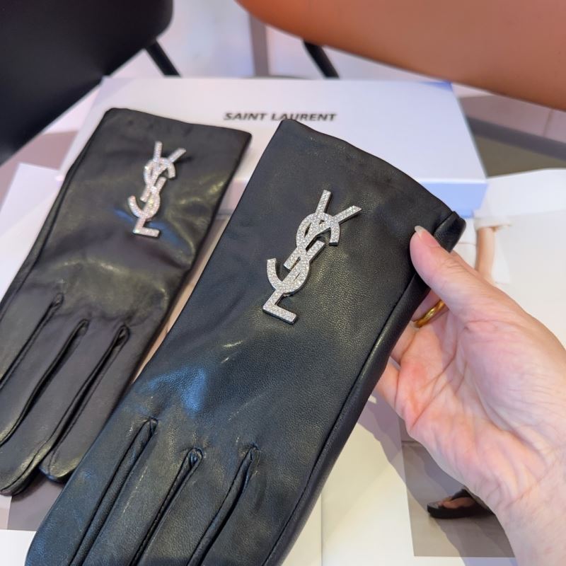 YSL Gloves