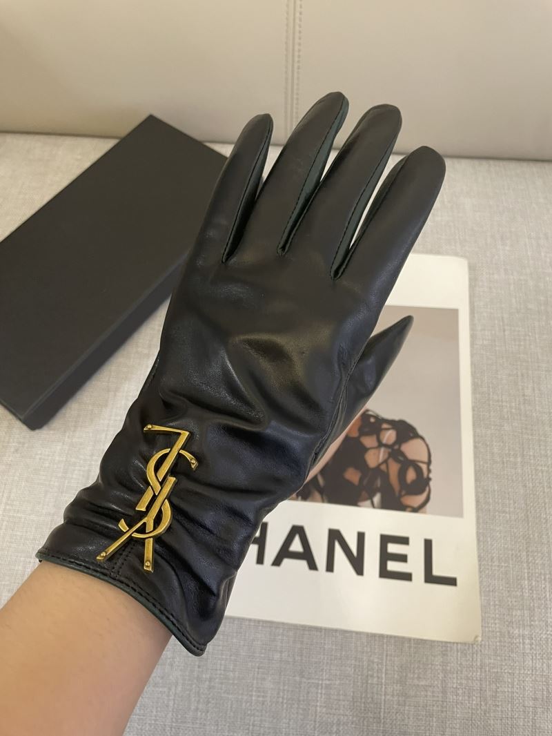 YSL Gloves