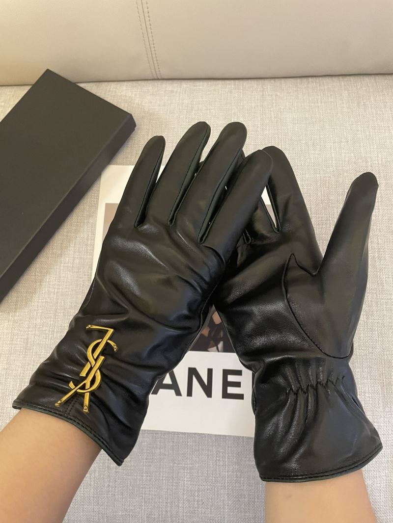 YSL Gloves