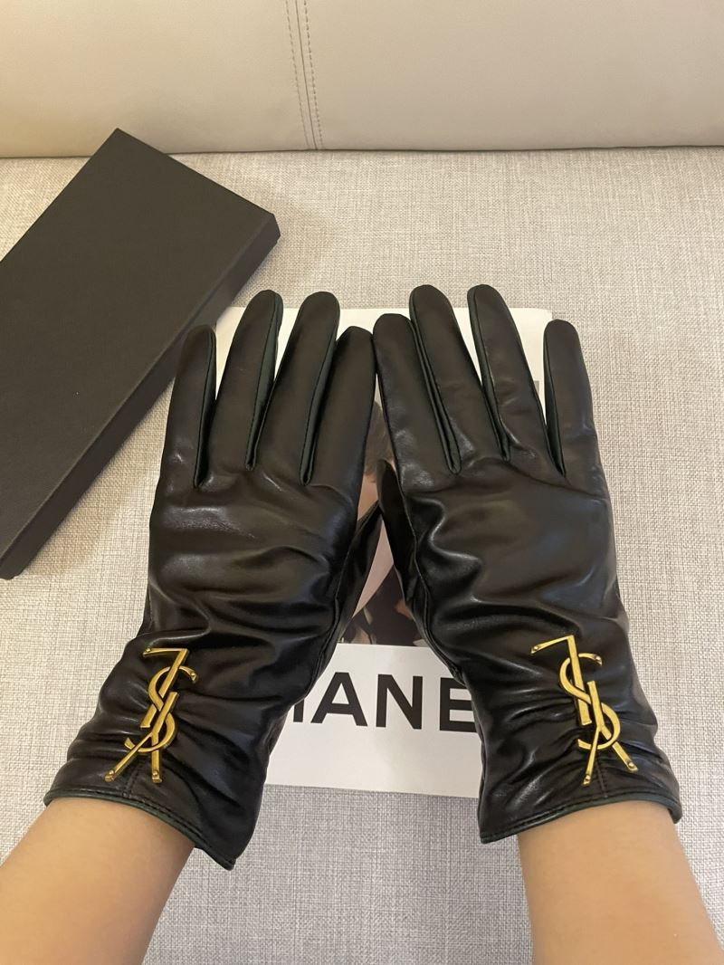 YSL Gloves