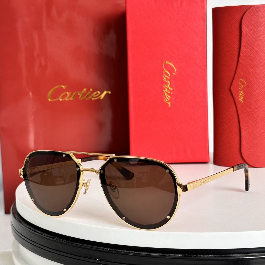 Cartier Sunglasses