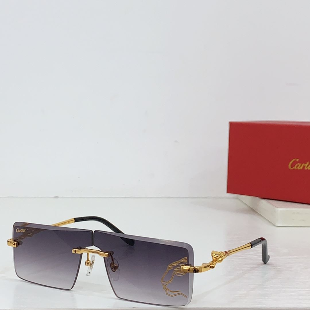 Cartier Sunglasses